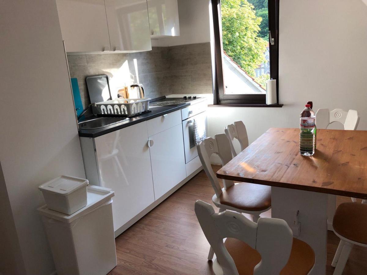 Ferienhaus Art Apartment - Harz Zorge Eksteriør billede