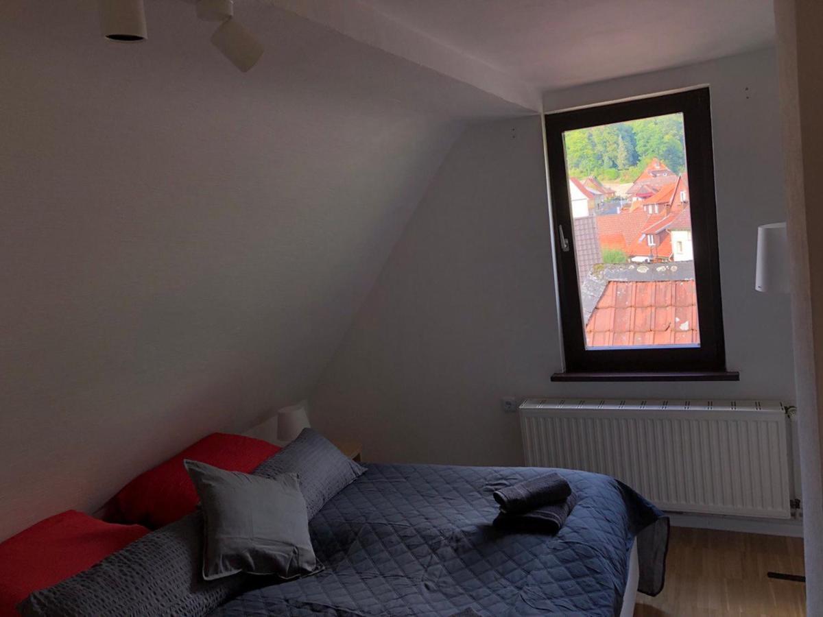 Ferienhaus Art Apartment - Harz Zorge Eksteriør billede