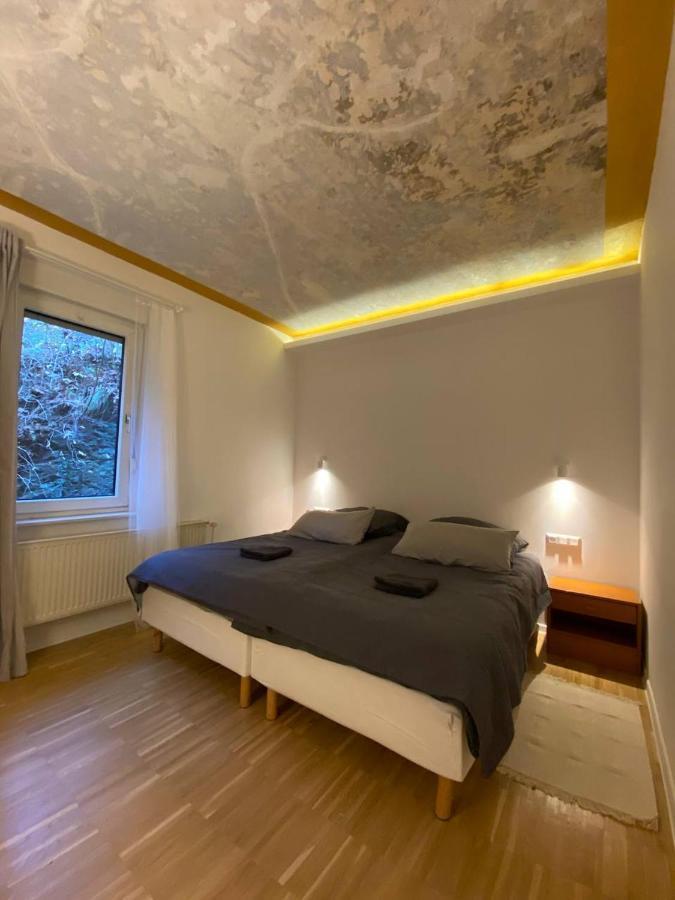 Ferienhaus Art Apartment - Harz Zorge Eksteriør billede