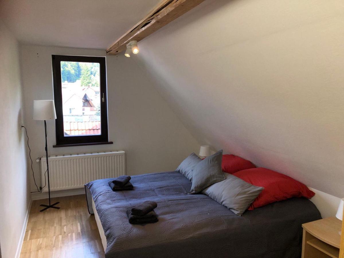 Ferienhaus Art Apartment - Harz Zorge Eksteriør billede