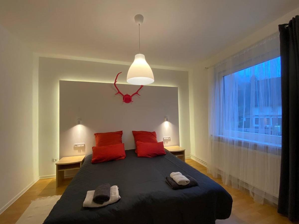Ferienhaus Art Apartment - Harz Zorge Eksteriør billede