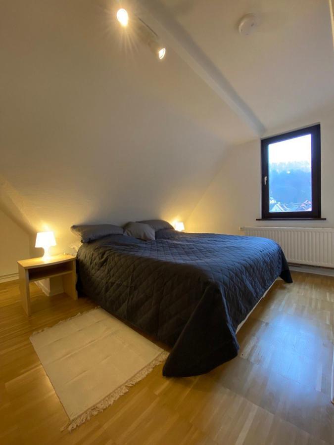 Ferienhaus Art Apartment - Harz Zorge Eksteriør billede