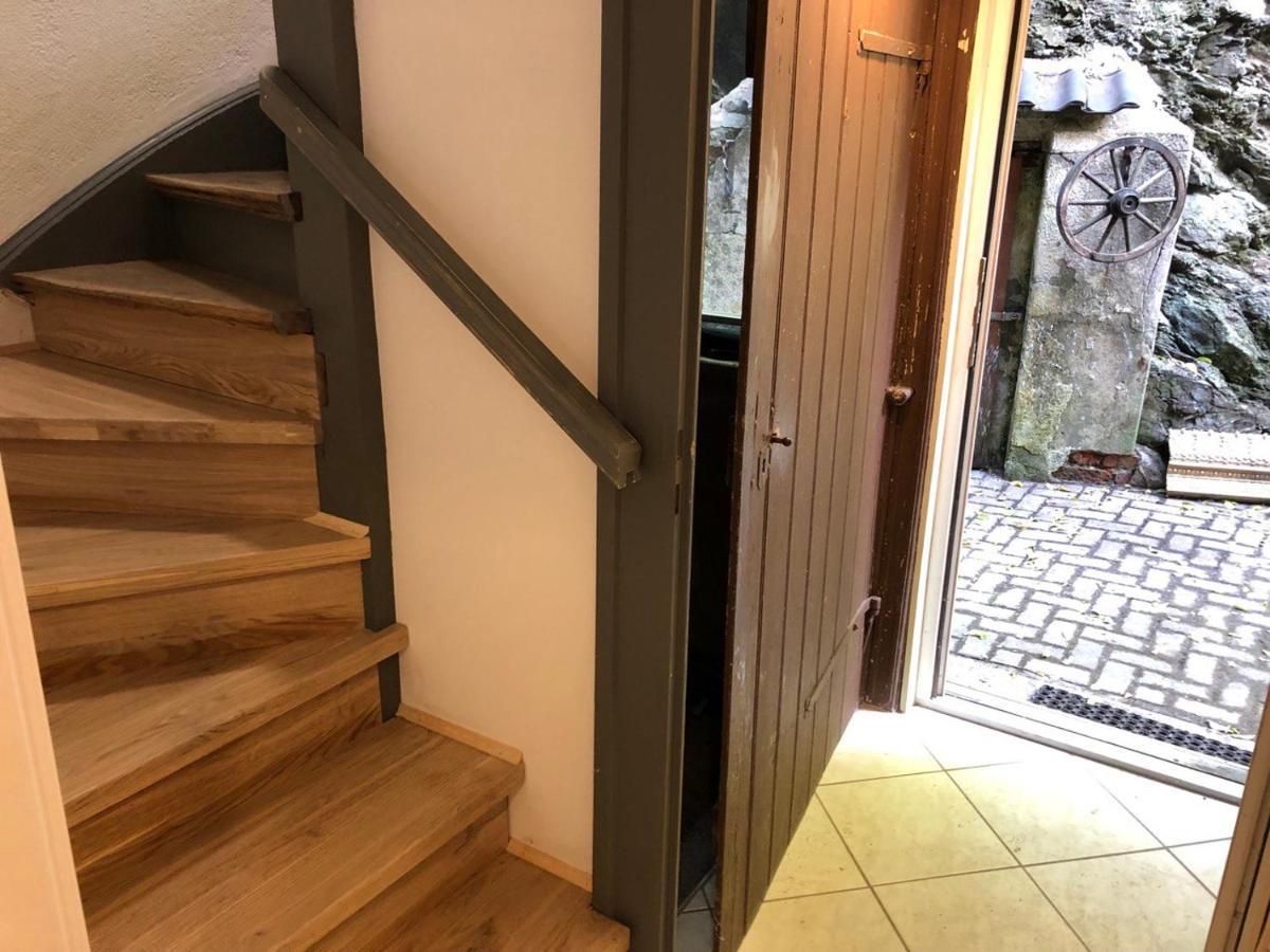 Ferienhaus Art Apartment - Harz Zorge Eksteriør billede