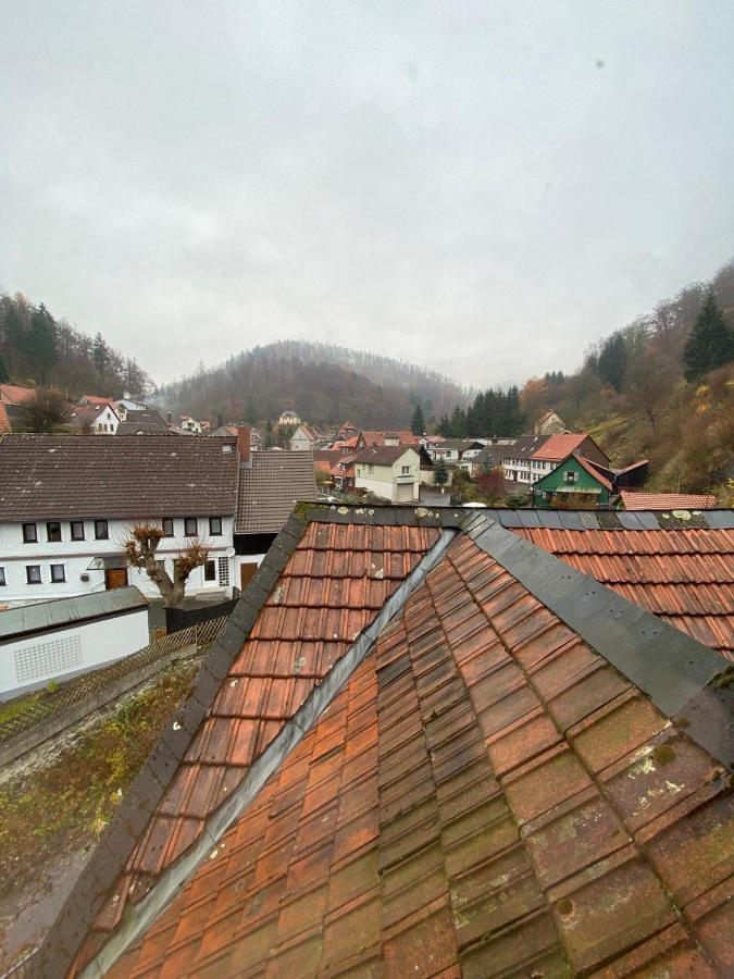 Ferienhaus Art Apartment - Harz Zorge Eksteriør billede