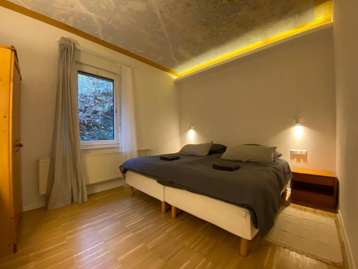 Ferienhaus Art Apartment - Harz Zorge Eksteriør billede