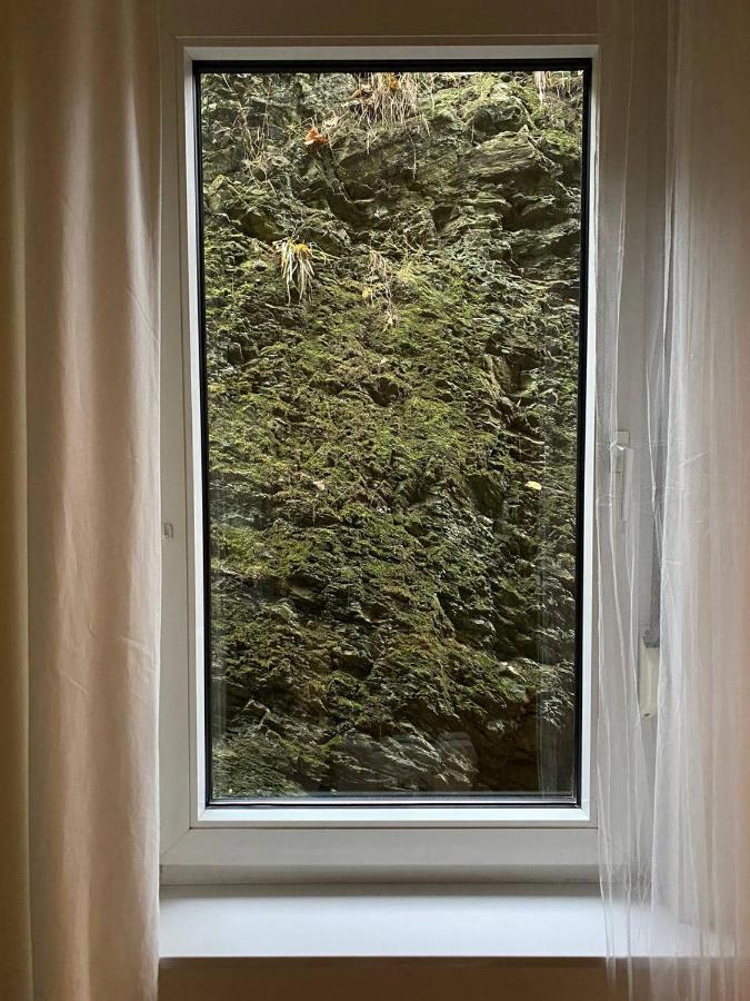 Ferienhaus Art Apartment - Harz Zorge Eksteriør billede